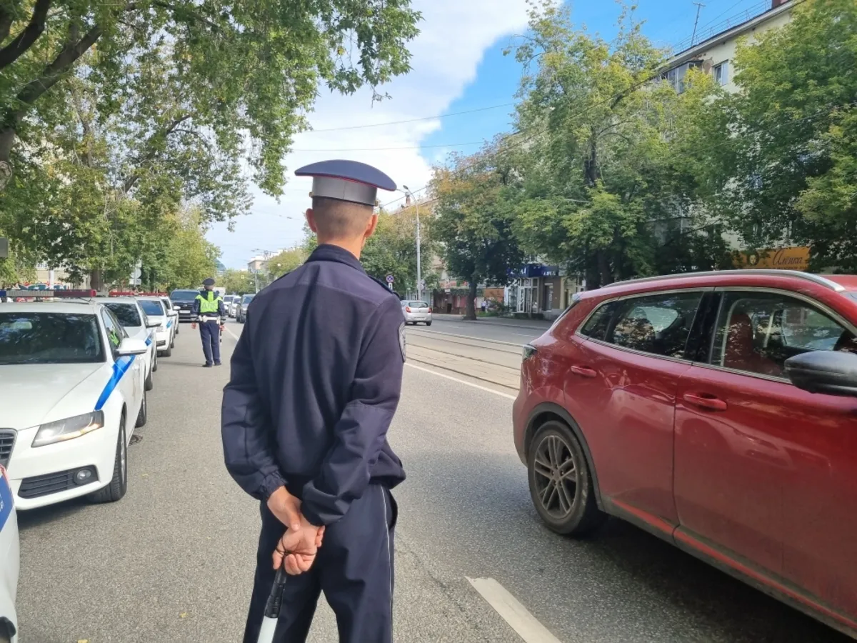 Хабаровчане смогут предъявить ГАИ водительские права через мессенджер МАКС