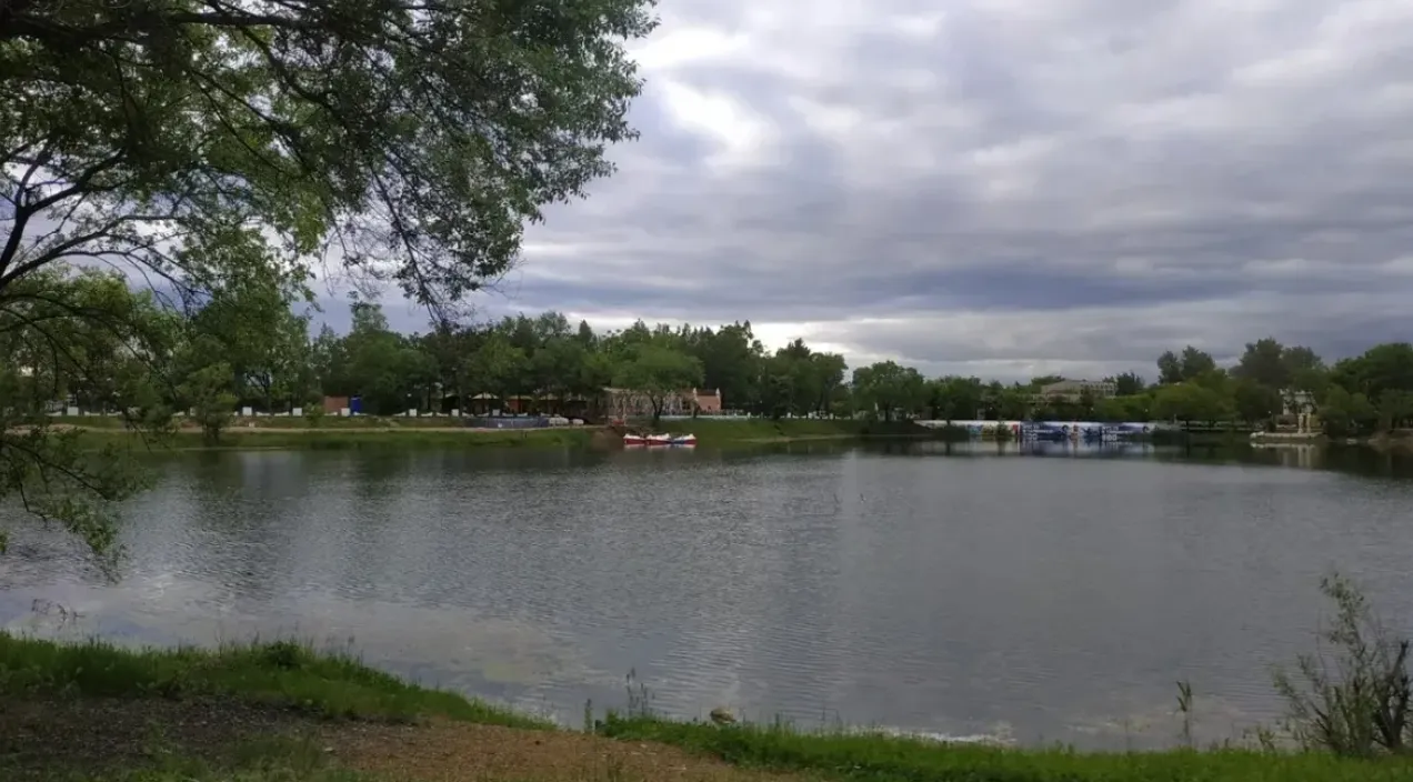 Свалкой на озере Рица в Хабаровске заинтересовалась прокуратура