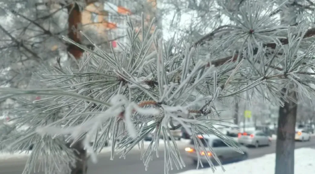 Первая рабочая неделя февраля начнётся с благоприятной погоды