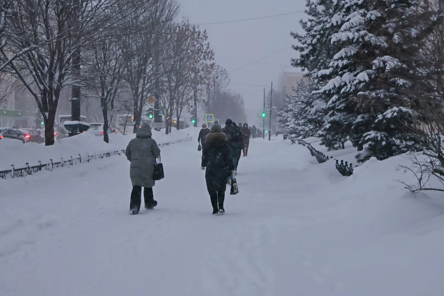 Очень сильный ветер и снег накроют Хабаровский край