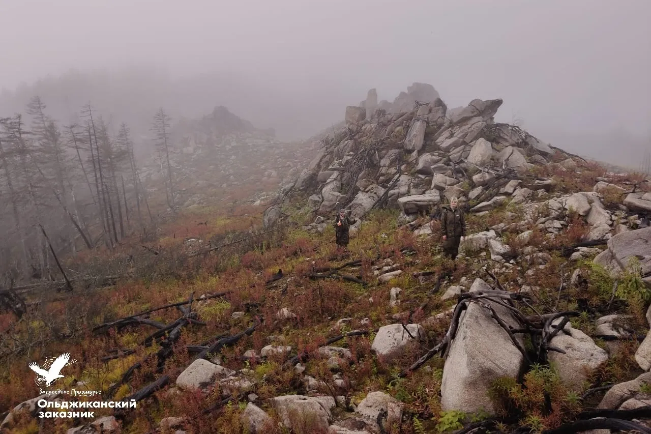 В Хабаровском крае сняли фильм о хранителях заказника «Ольджиканский»