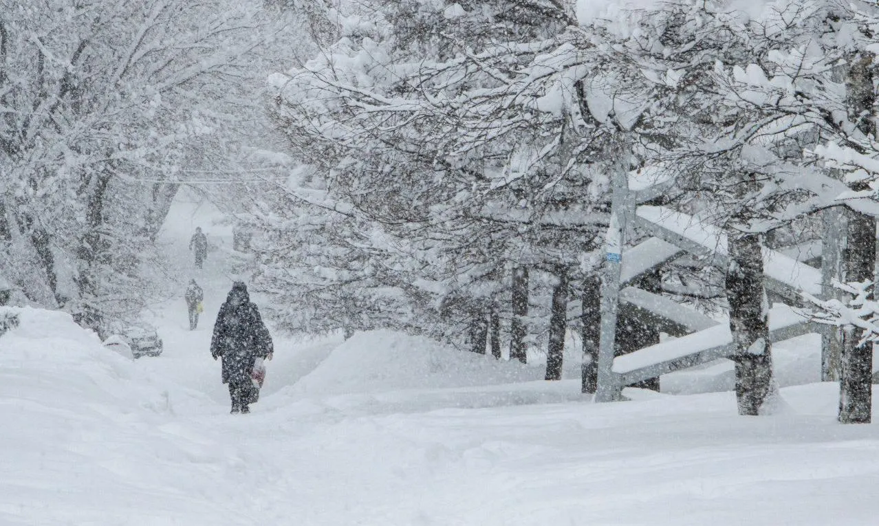 Хабаровский край накроет предновогодним снегом  