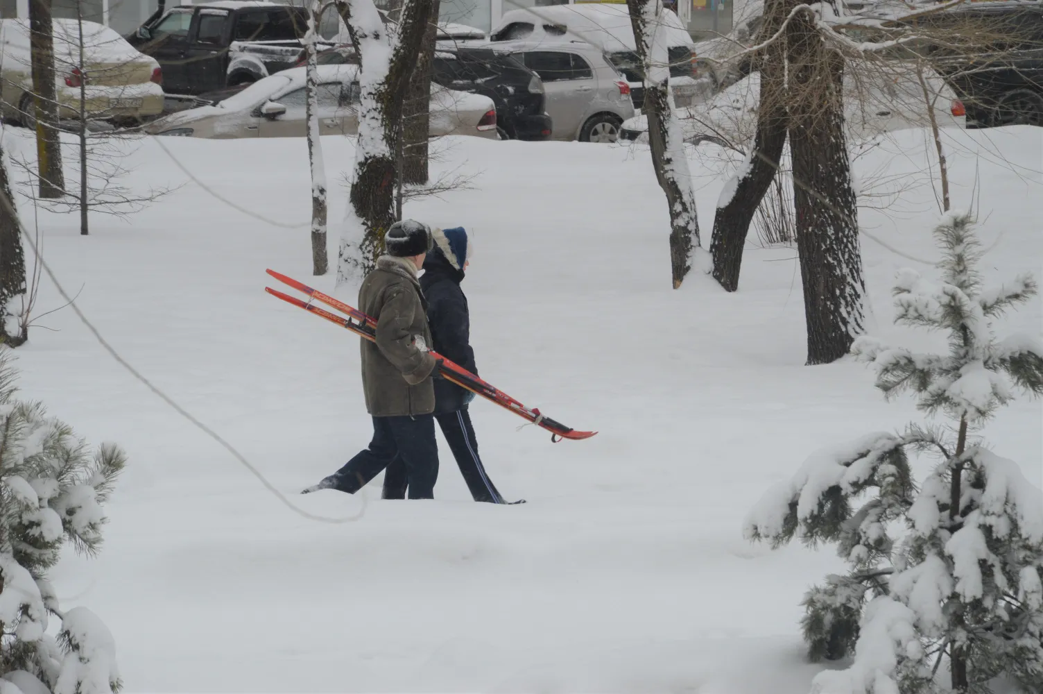 Спуститься на лыжах со склона или взобраться на гору предложили хабаровчанам на выходных