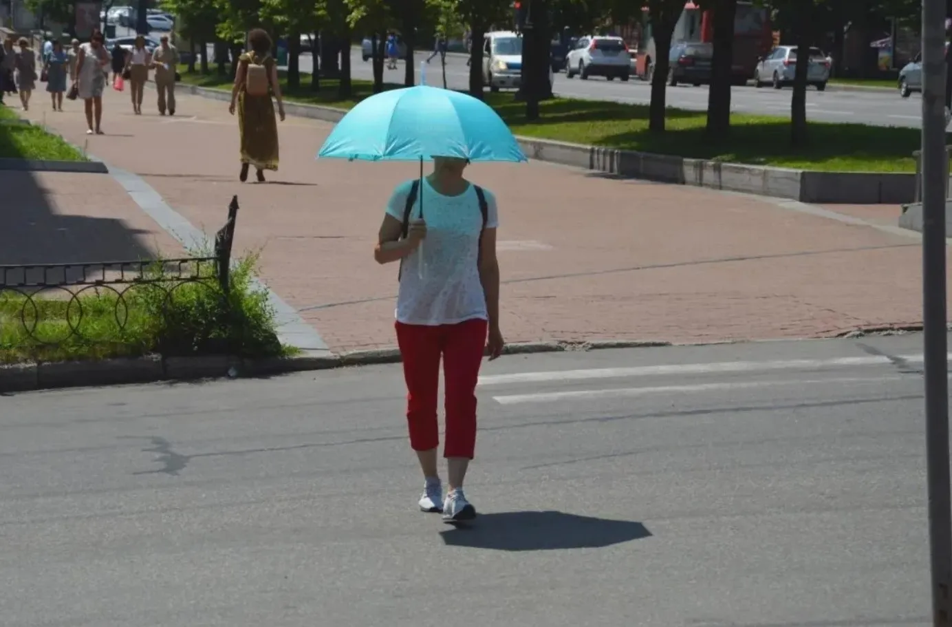 В Хабаровске МЧС и синоптики предупредили о возможной жаре в +37