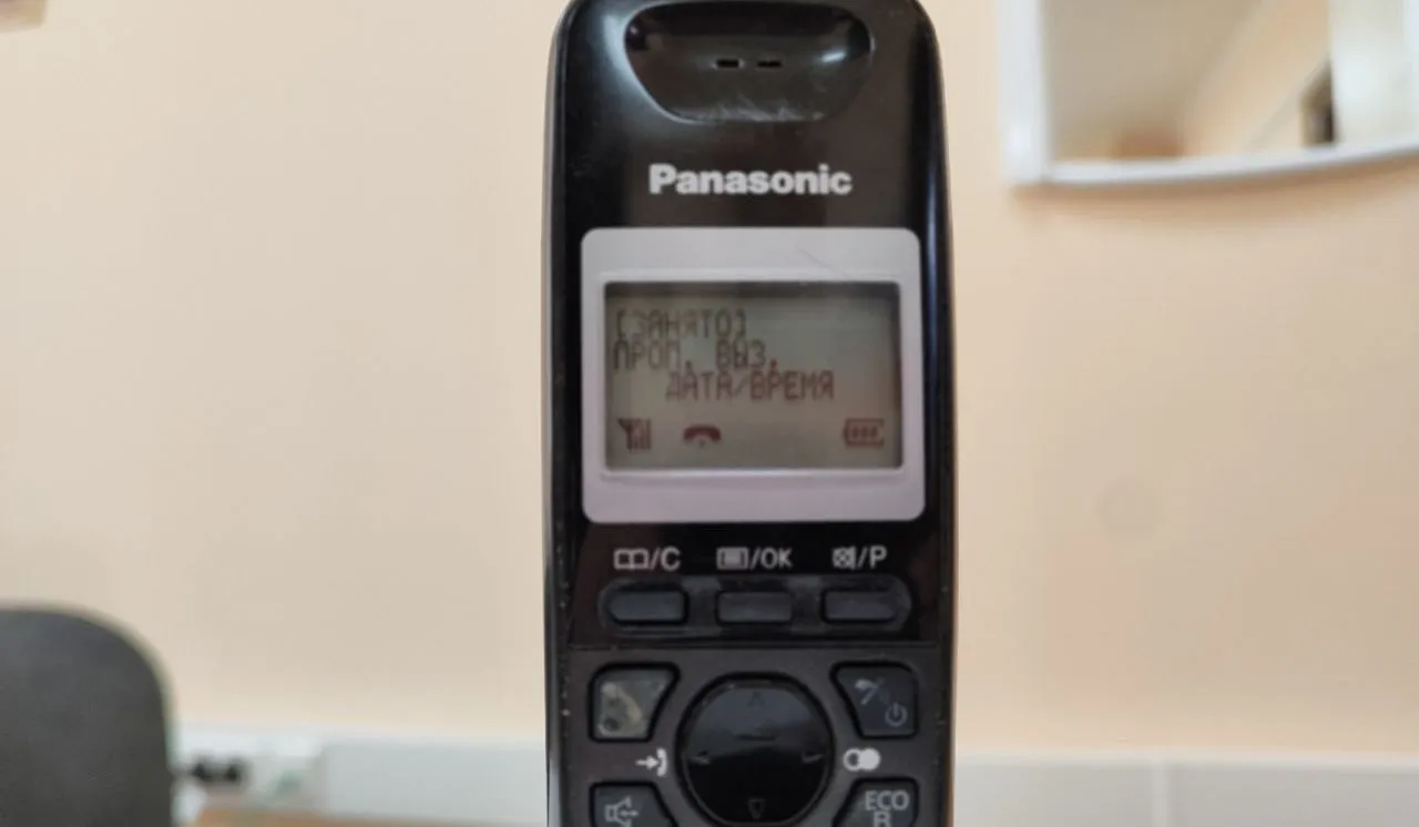 «Горячая линия» по вопросам опеки пройдёт в Хабаровском крае 8 декабря