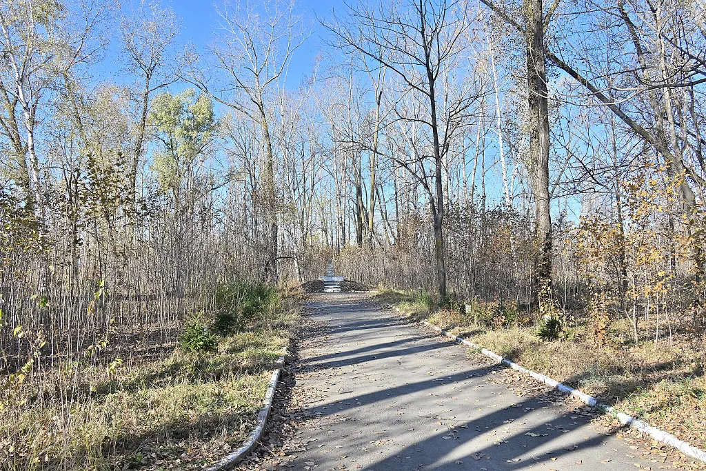 Курочкин парк официально появится в Хабаровске в 2026 году