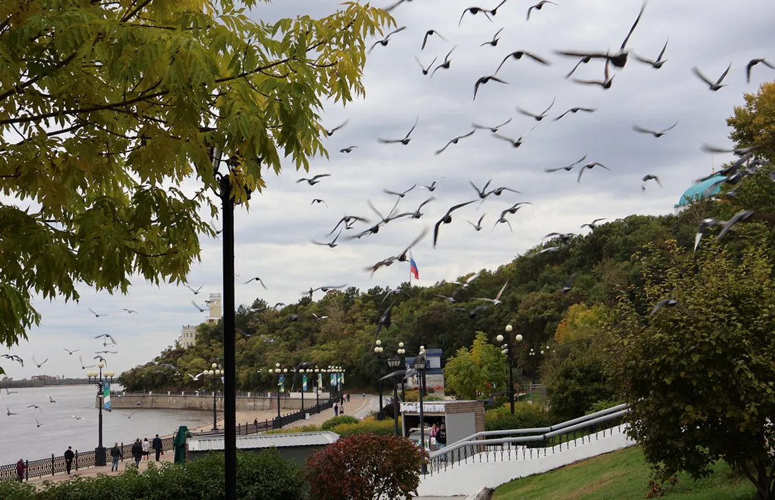 Парковый сезон завершат в Хабаровске на выходных