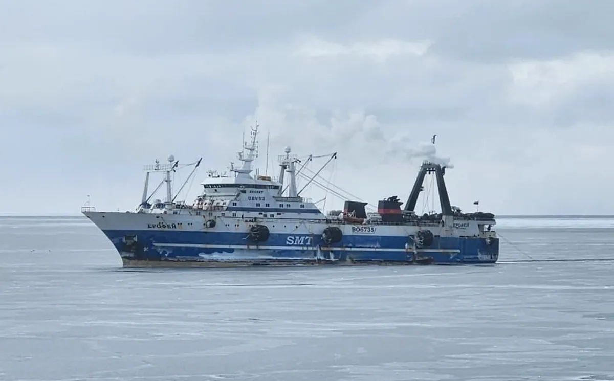 Промысловики нарастили объёмы вылова минтая в морях Дальнего Востока