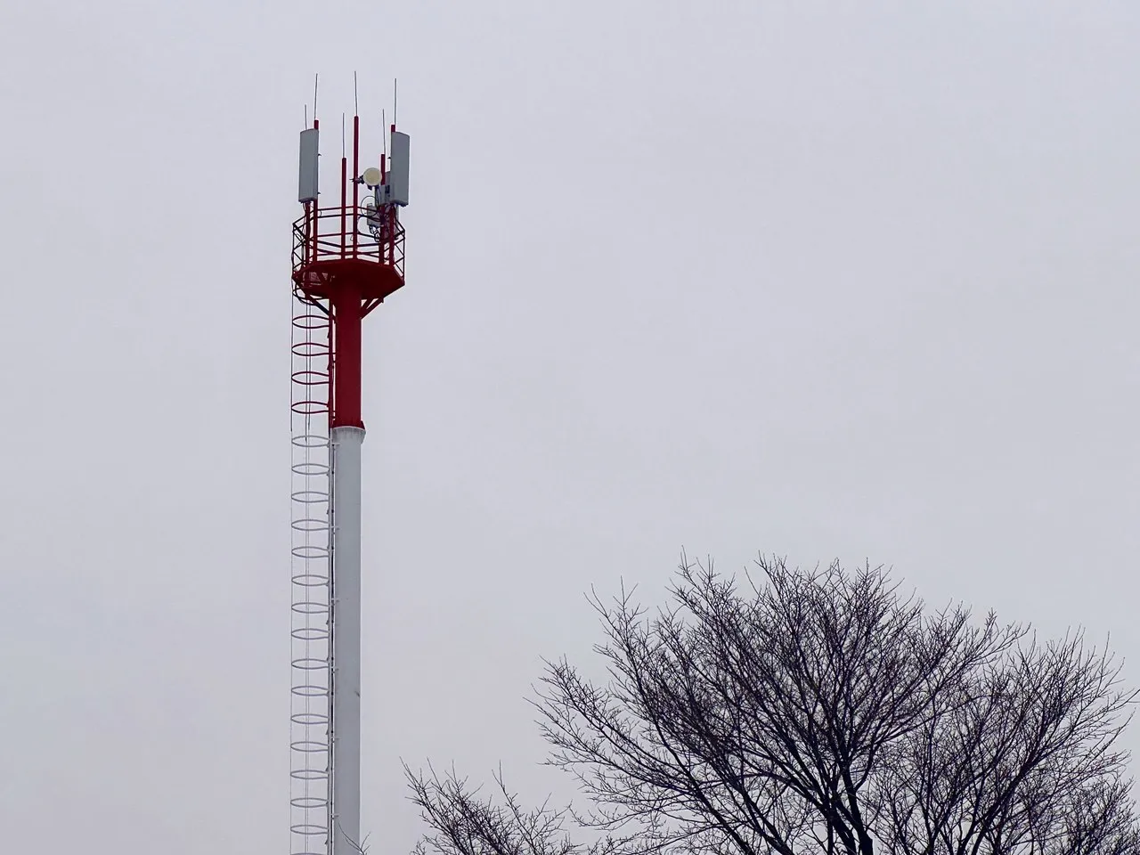 Кия, Павленково и База Дрофа получили доступ к 4G МТС
