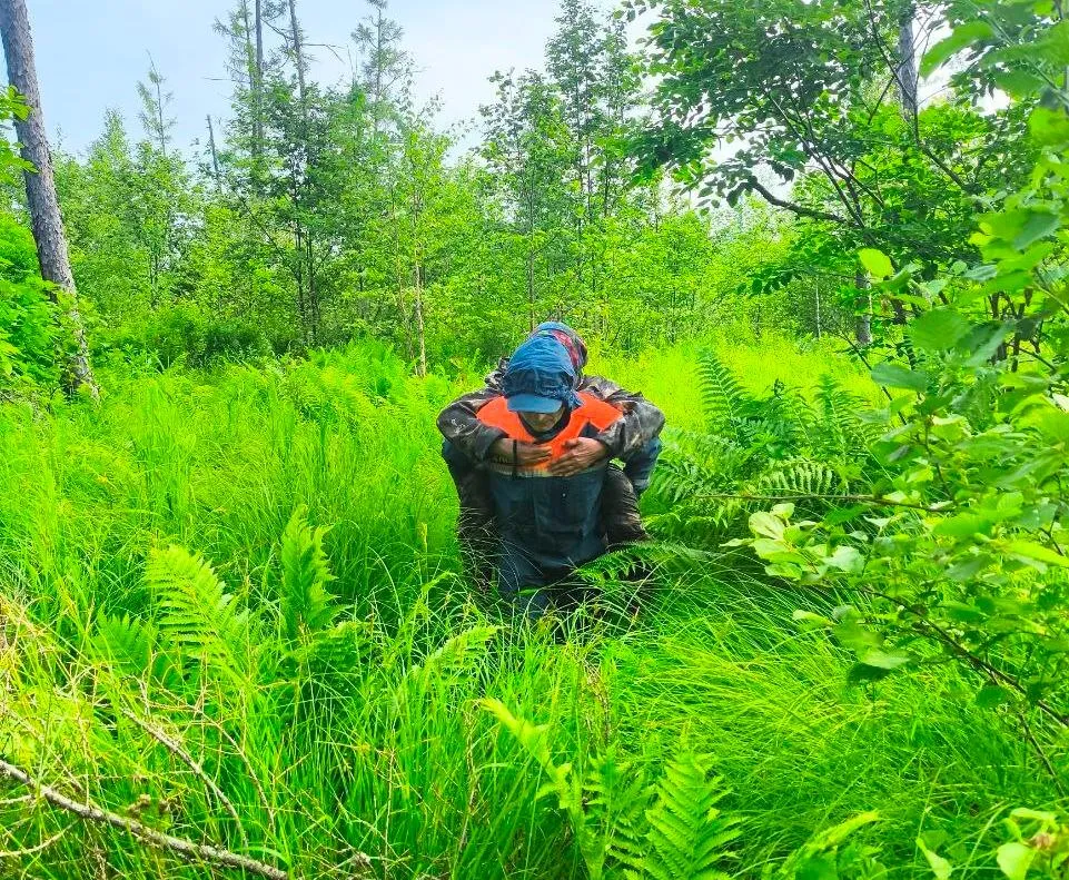Сёстры-пенсионерки три дня блуждали по лесу в Хабаровском крае