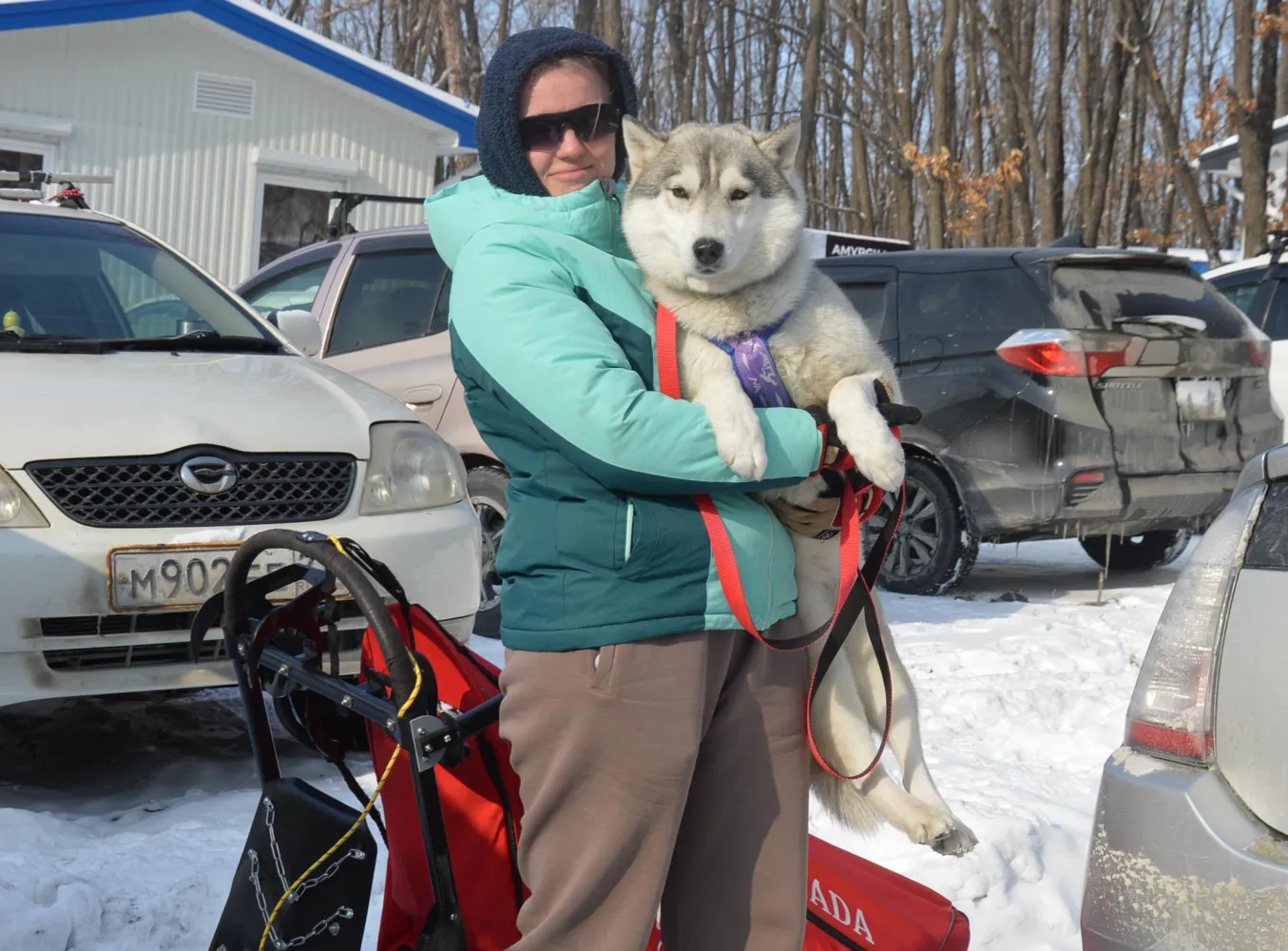«Амурская метель» собрала под Хабаровском любителей ездового спорта 