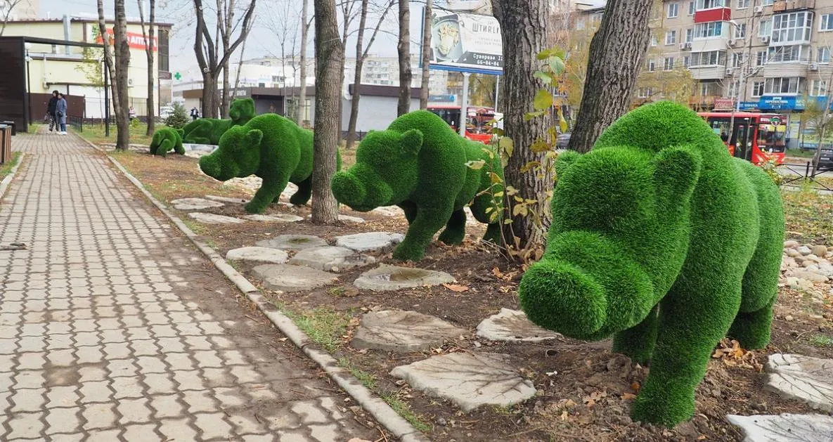 В Хабаровске стартовал выбор территорий для благоустройства