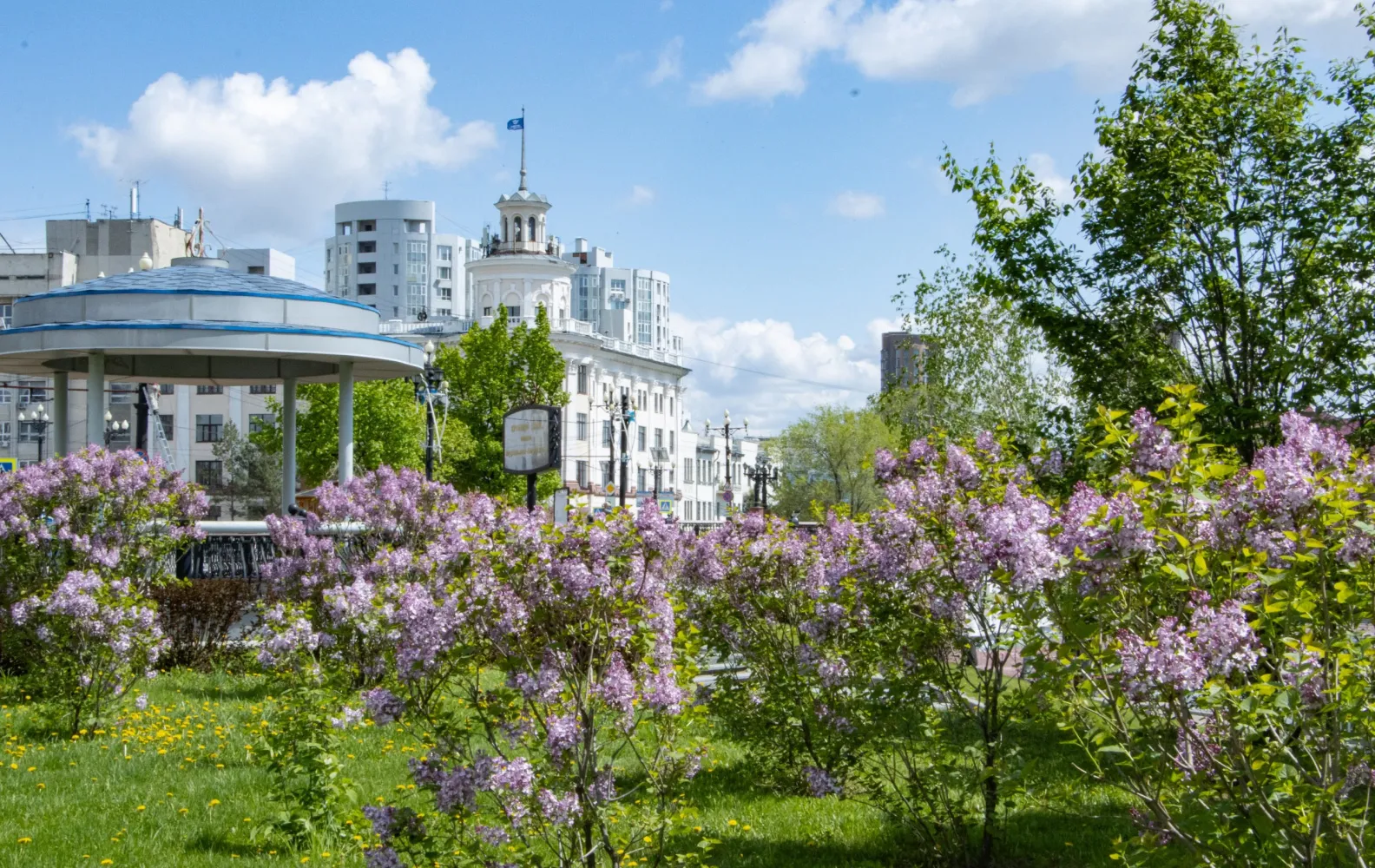 Музыкальные вечера под открытым небом подарит Хабаровску симфонический оркестр