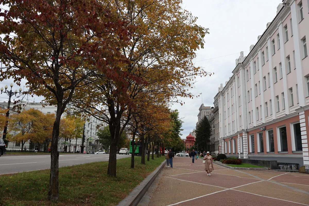 Сирены завоют по всему Хабаровскому краю 1 октября