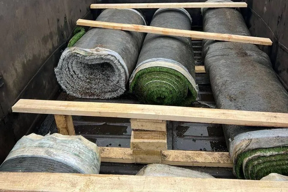 На север Хабаровского края газон для футбольных полей завезли в 7 вагонах