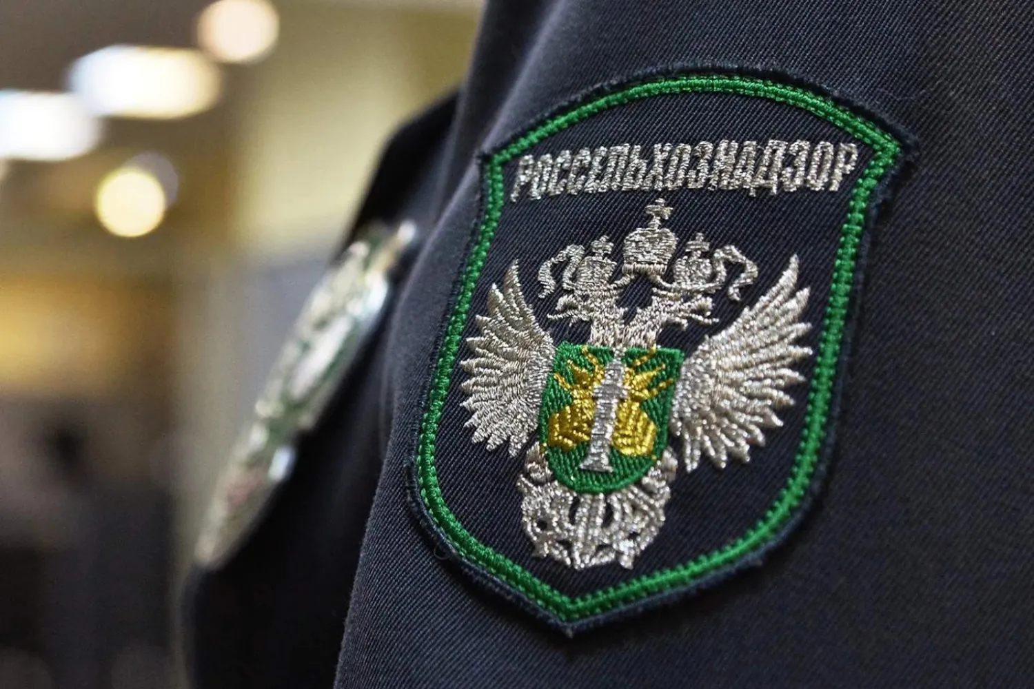 Дискаунтеры в Хабаровском крае торговали просроченными продуктами