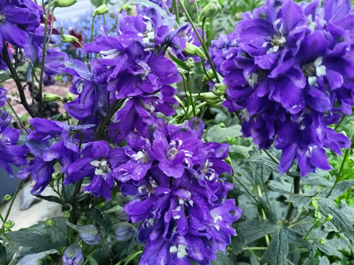 В выходные Хабаровский край почувствует настоящее лето