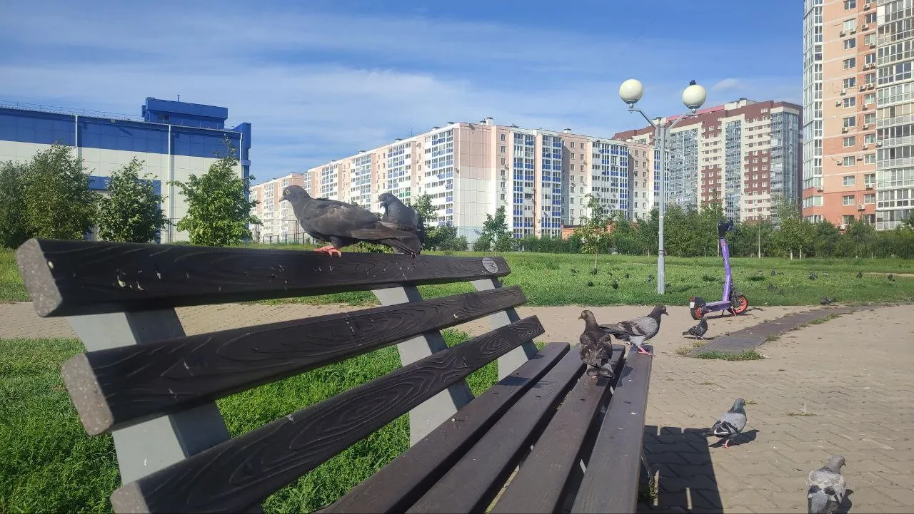 Пятничное солнце обогреет Хабаровский край