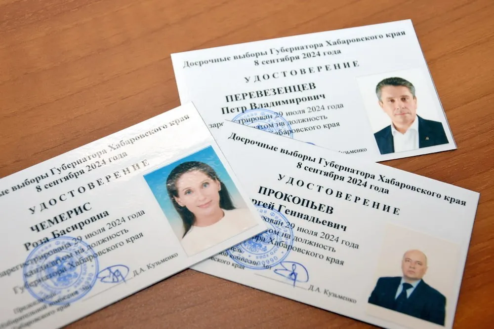 Четыре кандидата снялись с выборов на пост губернатора Хабаровского края