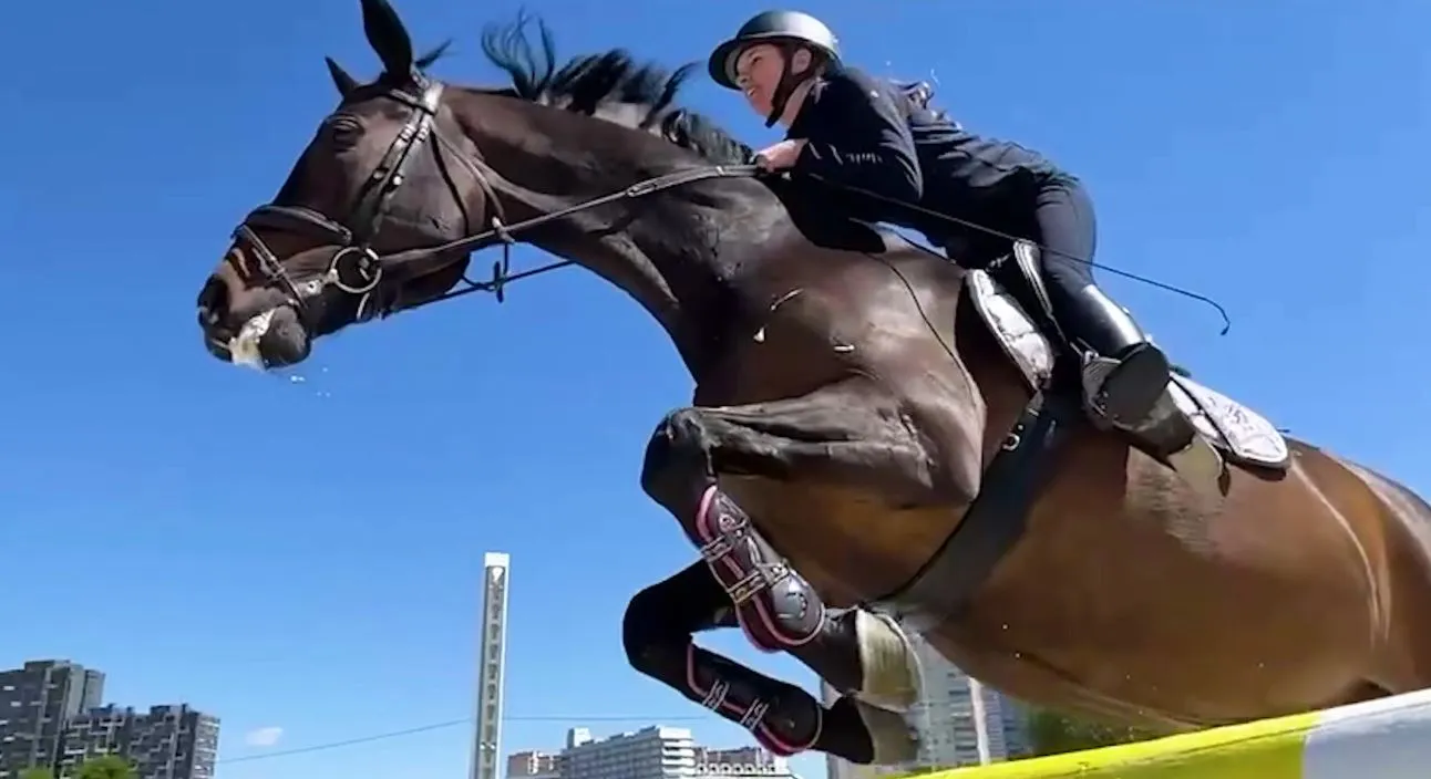 Свежее кино в Хабаровске: лошадиная дружба и цифровое воскрешение