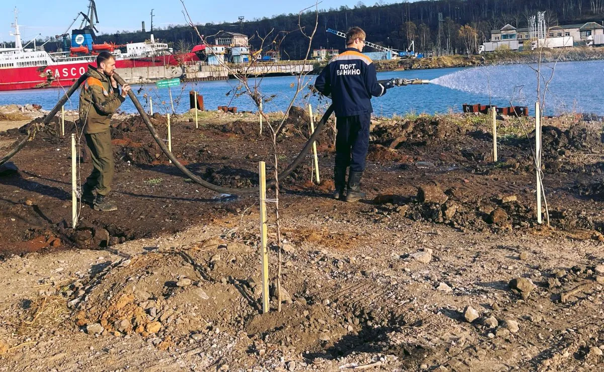 Портовики Ванино озеленяют территорию родного предприятия