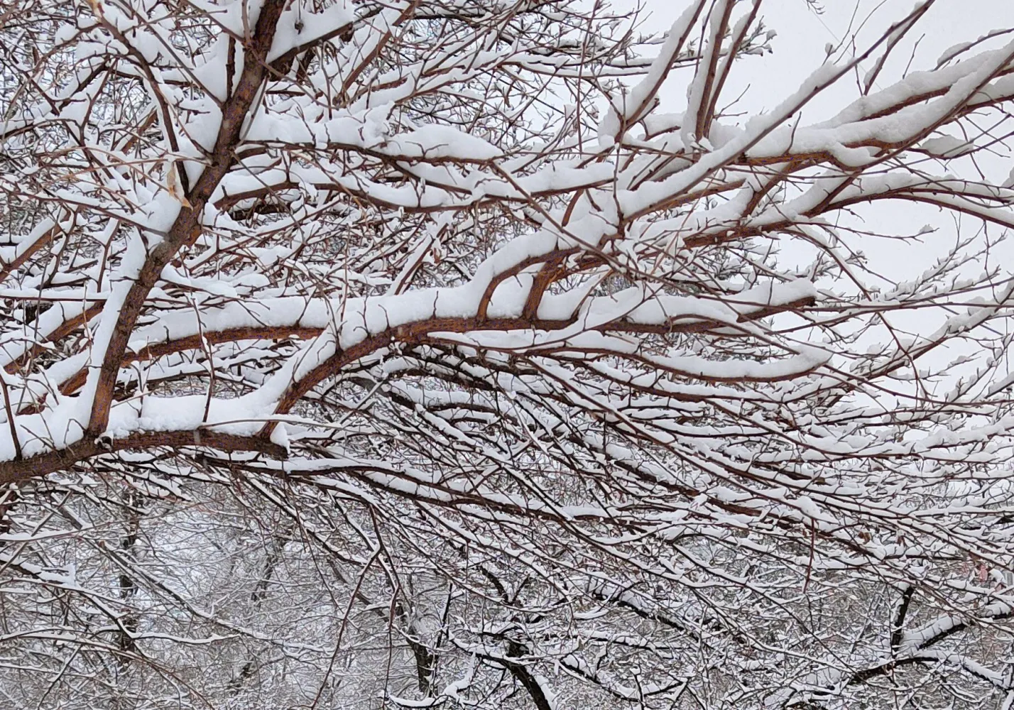 Метровые сугробы намело в северных районах Хабаровского края