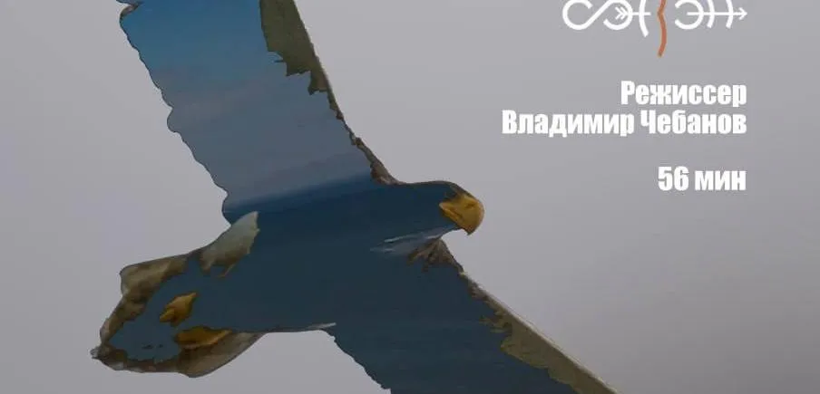 В Хабаровске назвали дату премьеры фильма о белоплечих орланах 