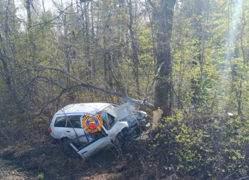 Пожилой водитель Mazda врезался в дерево и погиб в Хабаровском крае