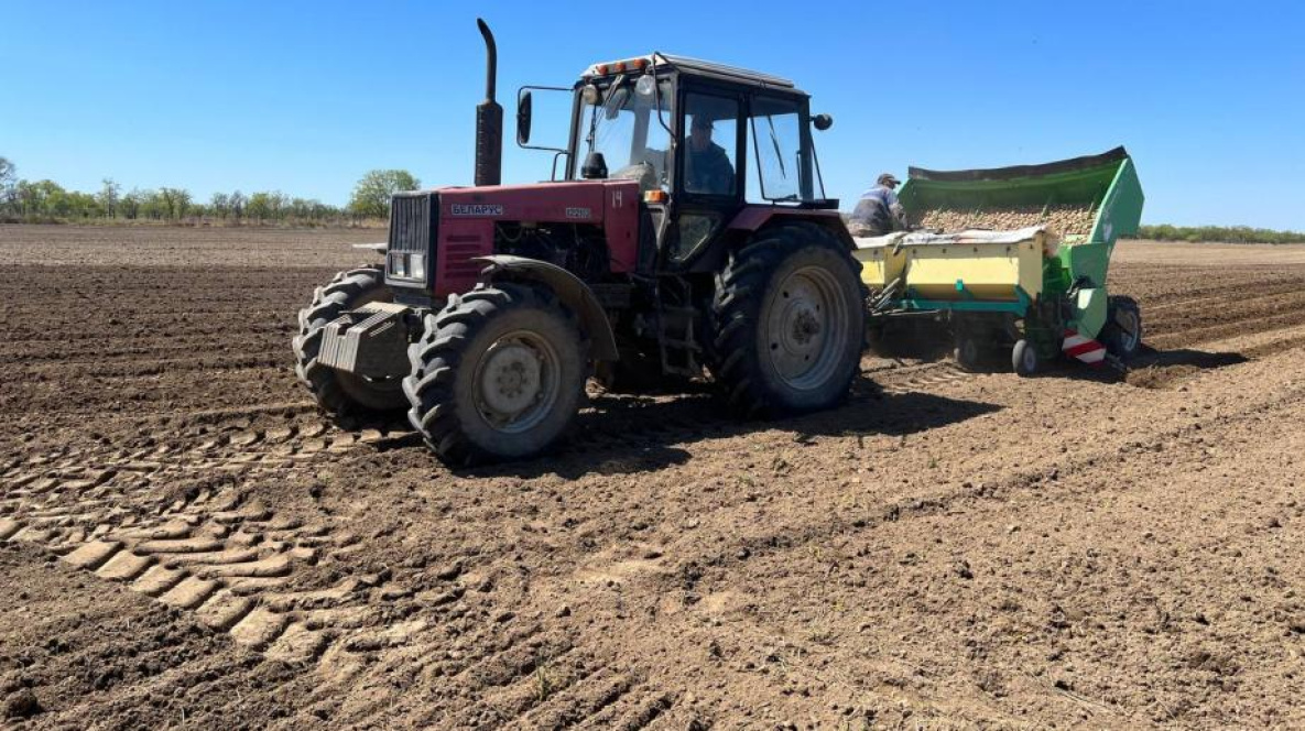 Аграрии южных районов Хабаровского края начали посадку картофеля