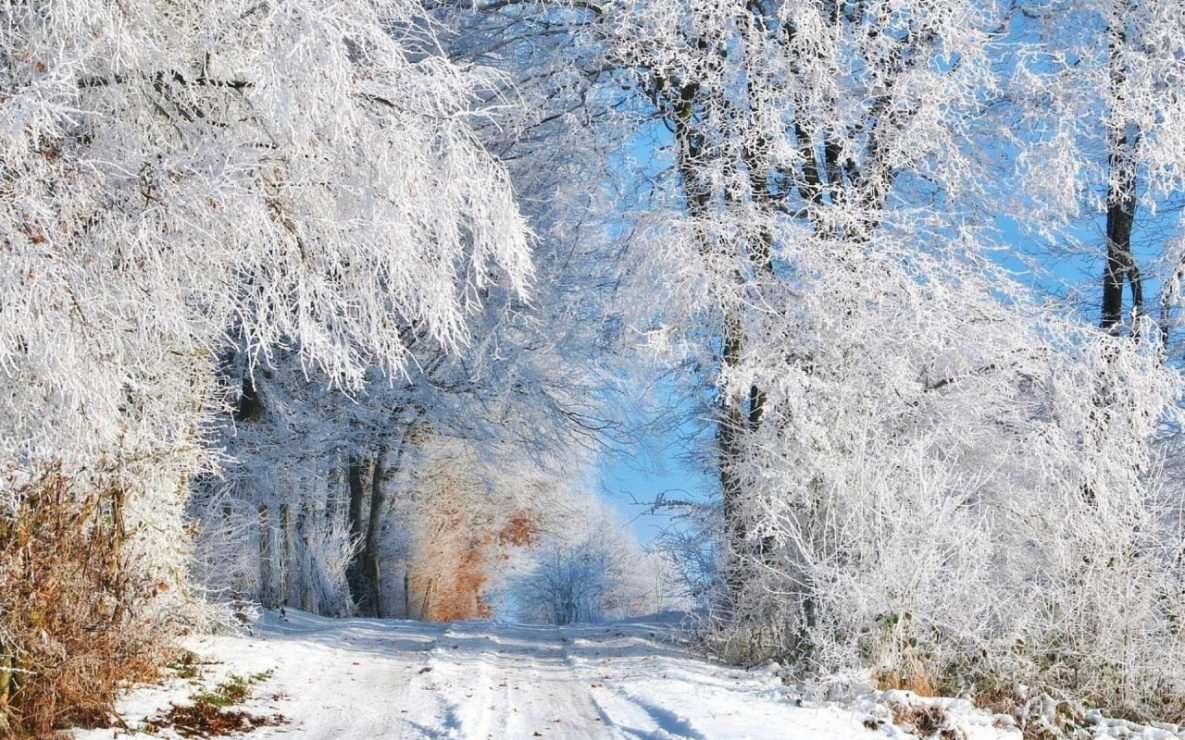 В Хабаровском крае 8 февраля: на севере – морозы, на юге – снег