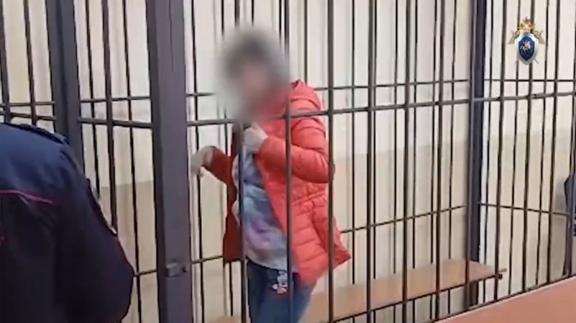 Суд Хабаровска арестовал местную жительницу за избиение 6-летней дочери