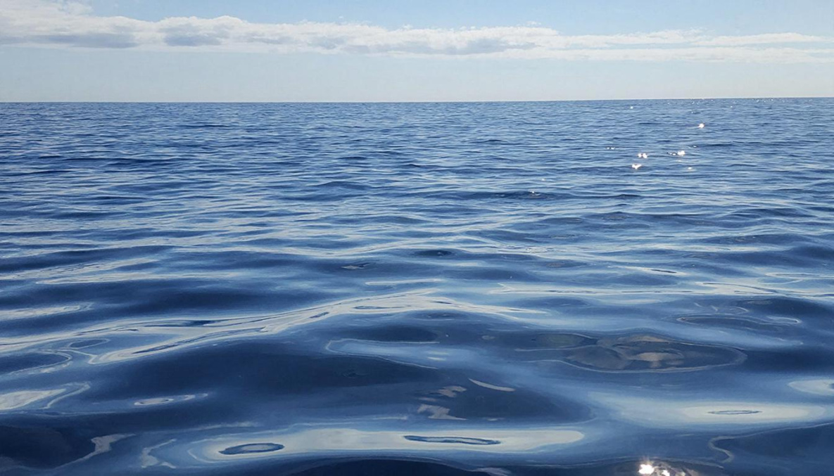 Организатор смертельного путешествия по Охотскому морю частично признал вину