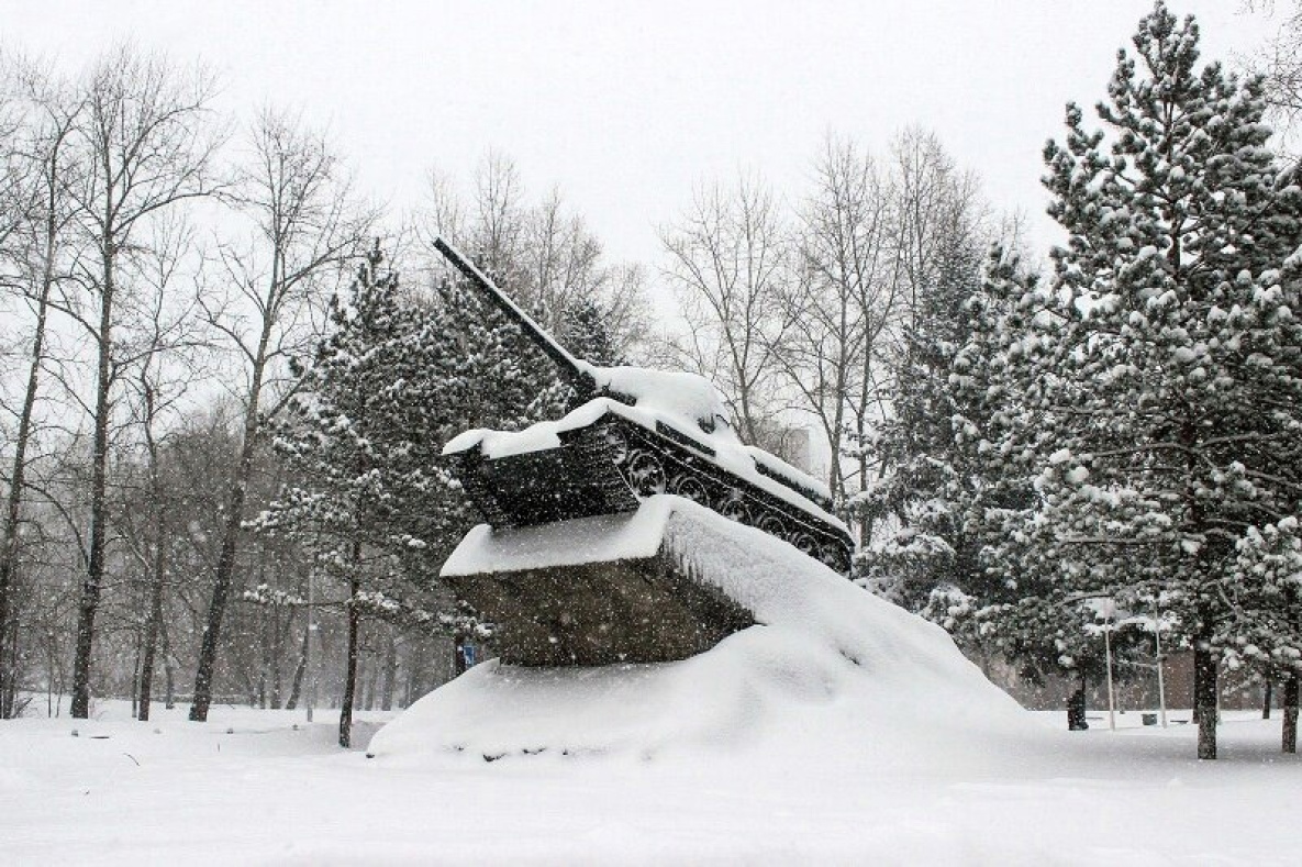 Хабаровчане голосуют за военные памятники для генеральной уборки