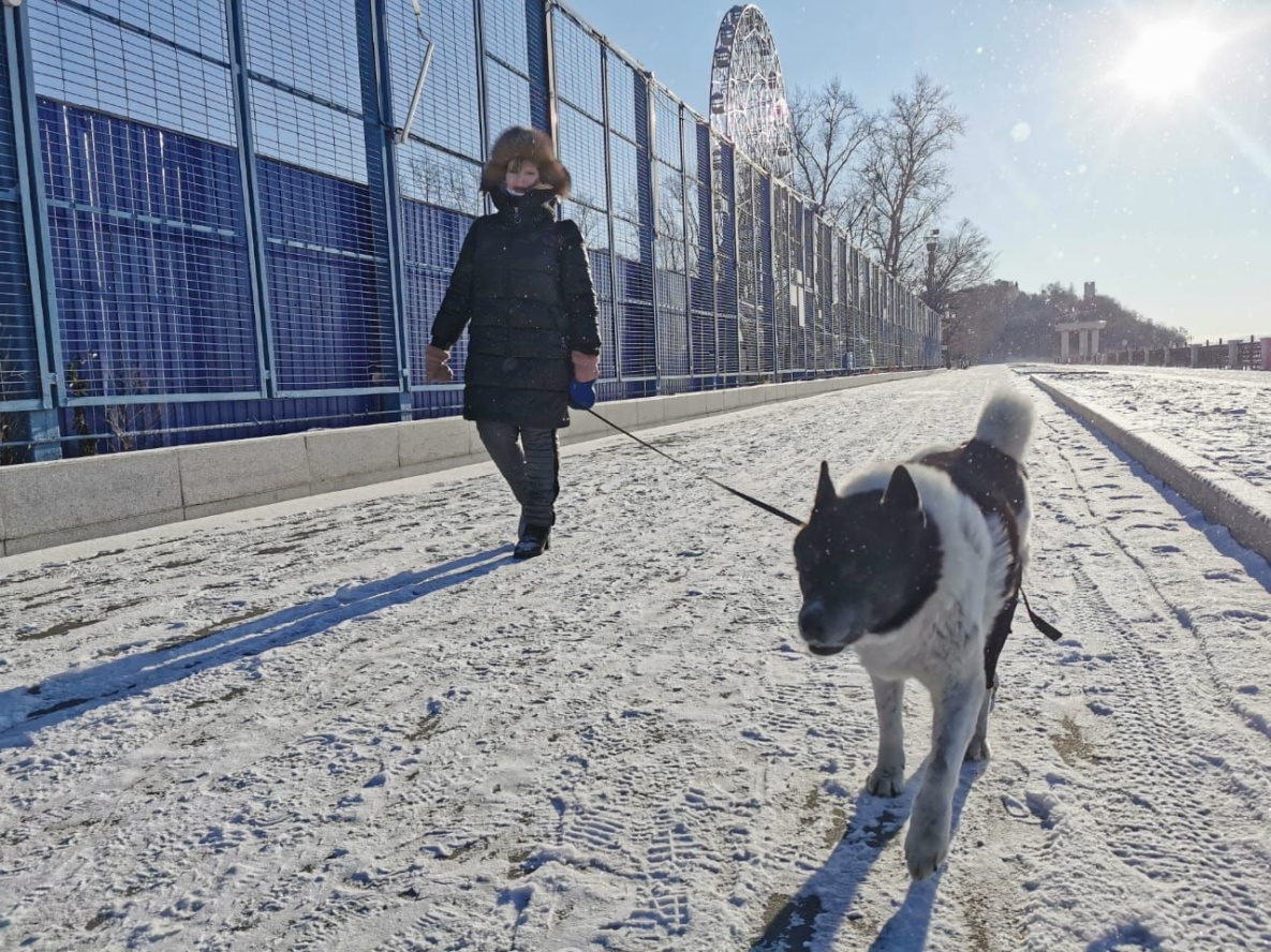 Фоторепортаж: Хабаровск встречает первый день зимы