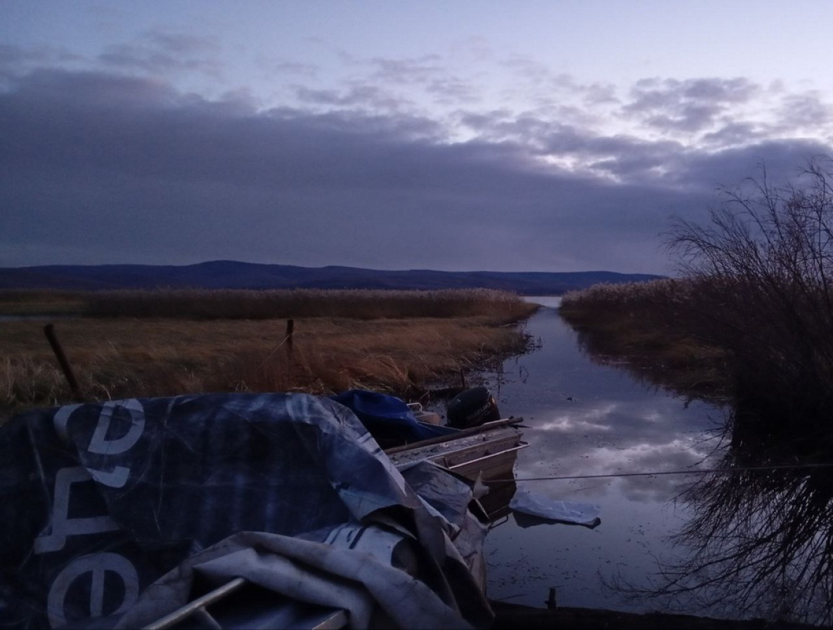 Жители Хабаровского края незаконно поймали калугу и осетра на 850 тысяч рублей