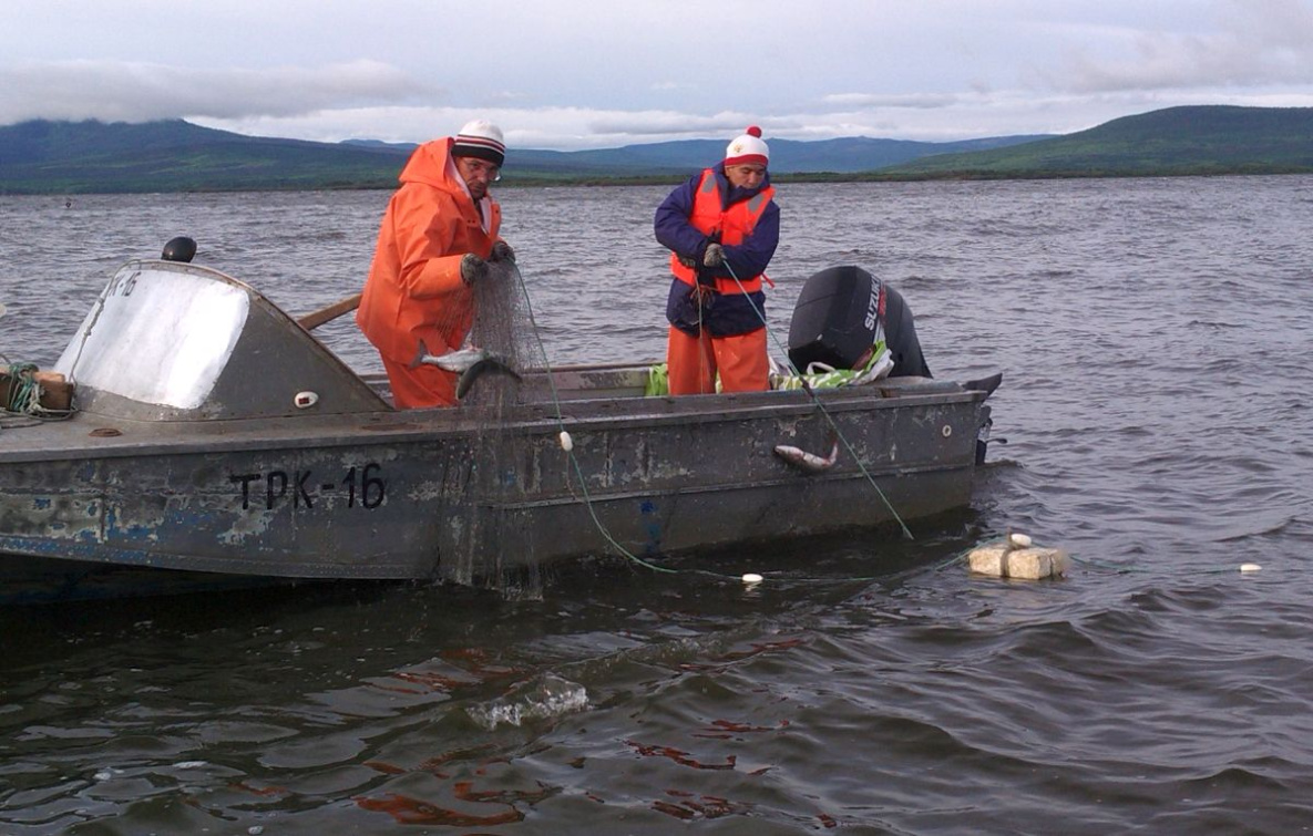 Объёмы лова лосося в путину-2024 определены для востока Хабаровского края