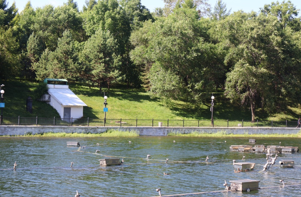 Циклон принесёт осадки в Хабаровский край