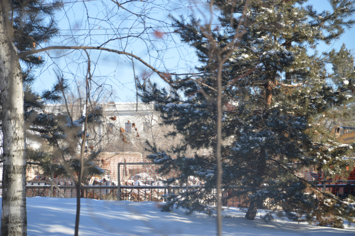 В Хабаровске потеплеет сразу на несколько градусов