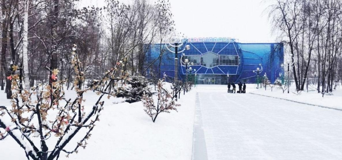 В Хабаровском крае 27 января сохранится морозная погода