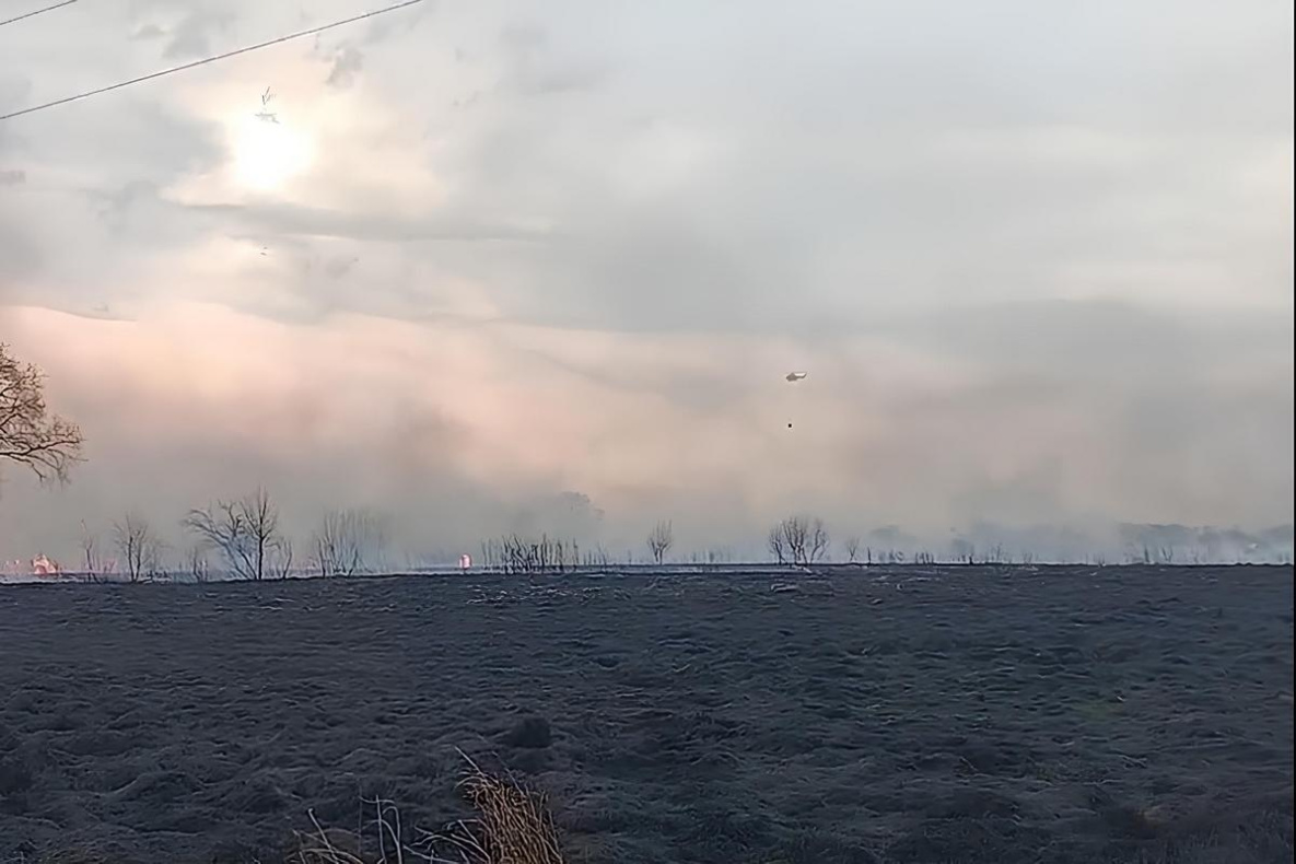 Дачники устроили пожары на островах у Хабаровска