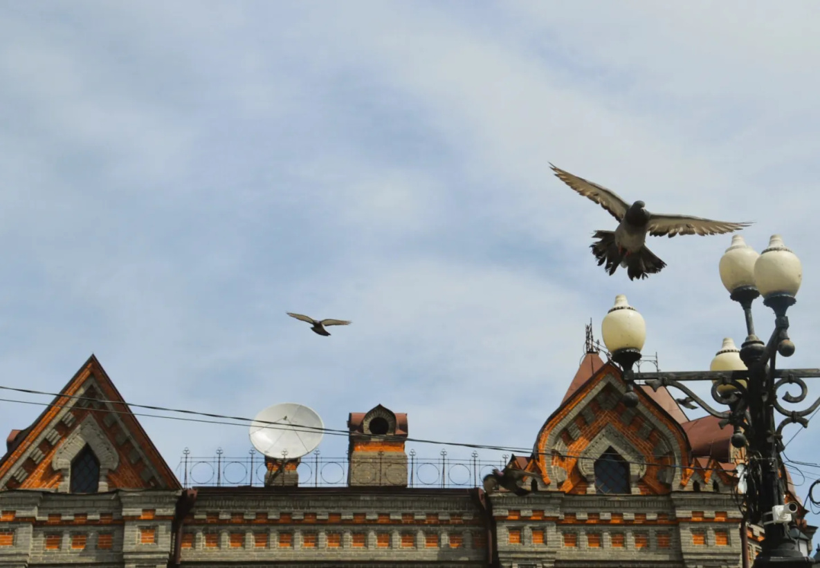 Погода на Первомай порадует не всех жителей Хабаровского края