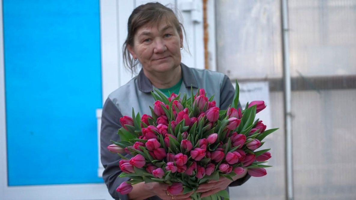 Тюльпаны и гиацинты: «Горзеленстрой» в Хабаровске готов к 8 марта