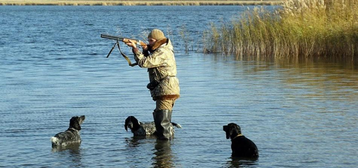Весеннюю охоту-2020 в Хабаровском крае решили не отменять