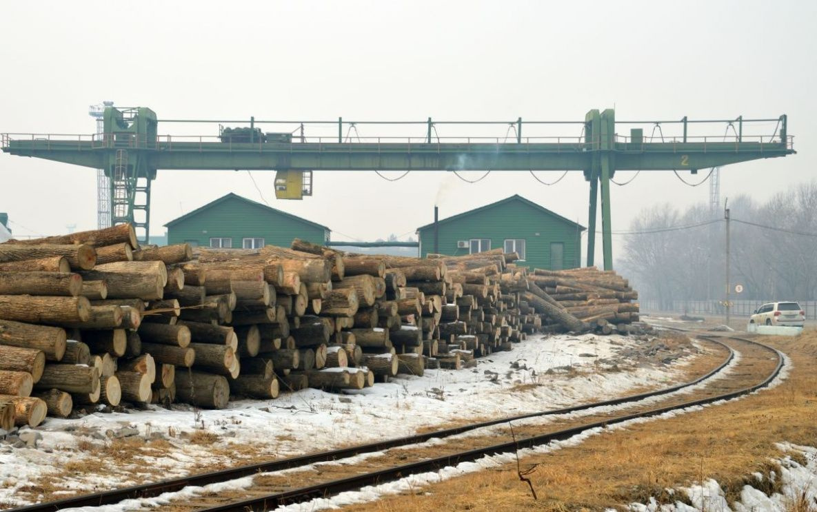 Инвестиции в лесопереработку на Дальнем Востоке поддержат льготами