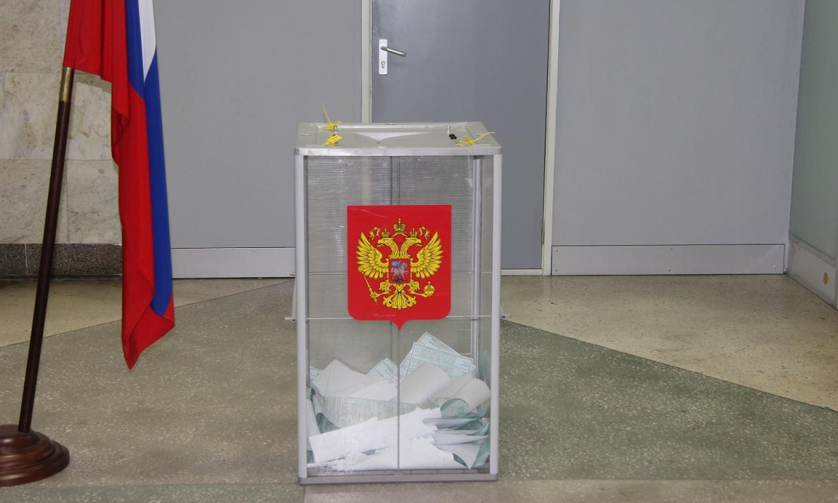 На выборы хабаровского губернатора заявились уже шесть партий