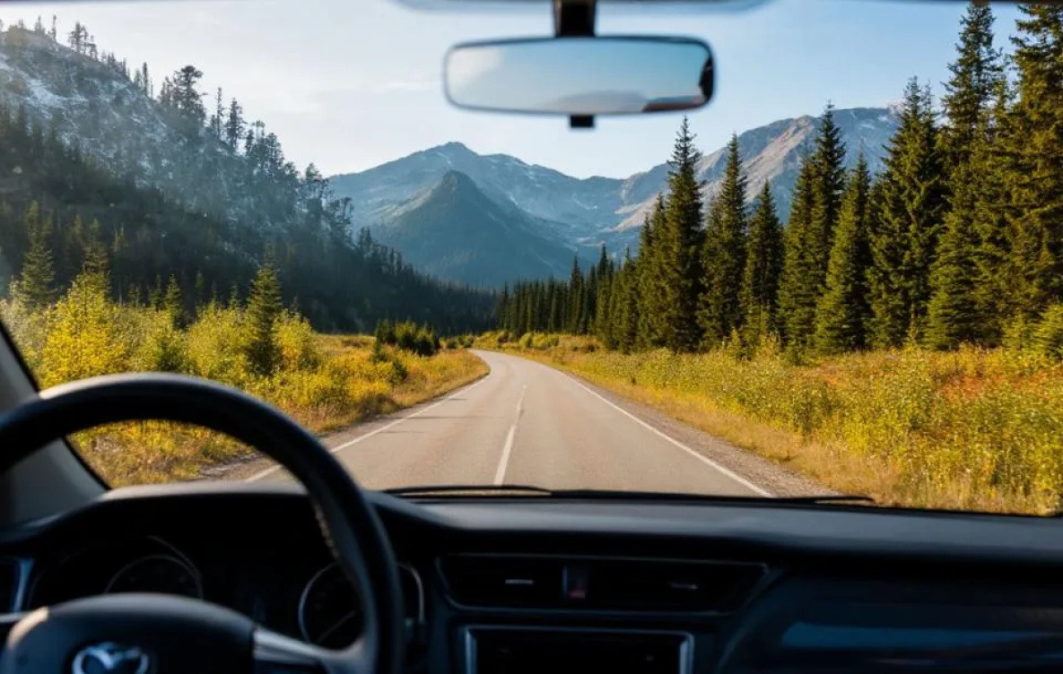 Автоматическое продление водительских прав в России отменяется с 2026 года