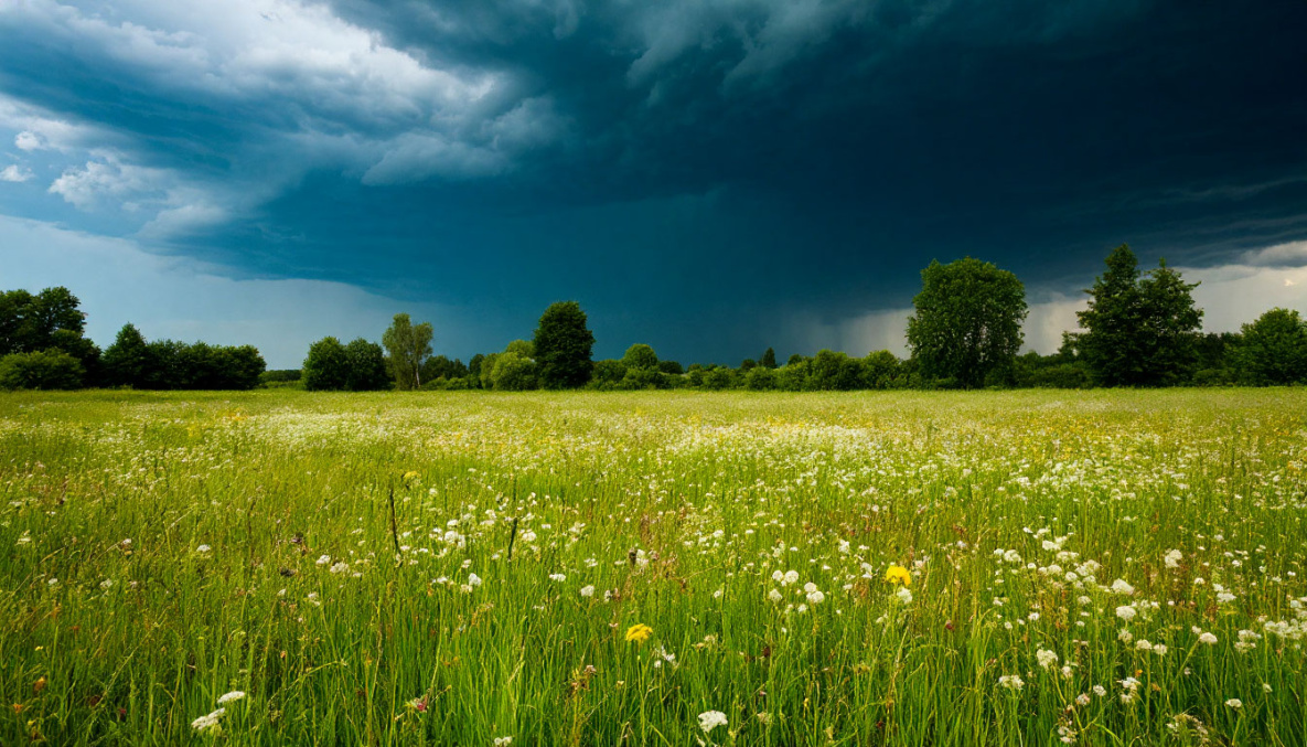 Народные приметы на 27 июля: сегодня нужно делать заготовки на зиму