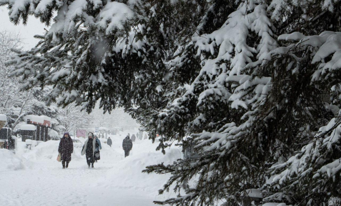 Стабильно морозно и местами снежно будет в Хабаровском крае