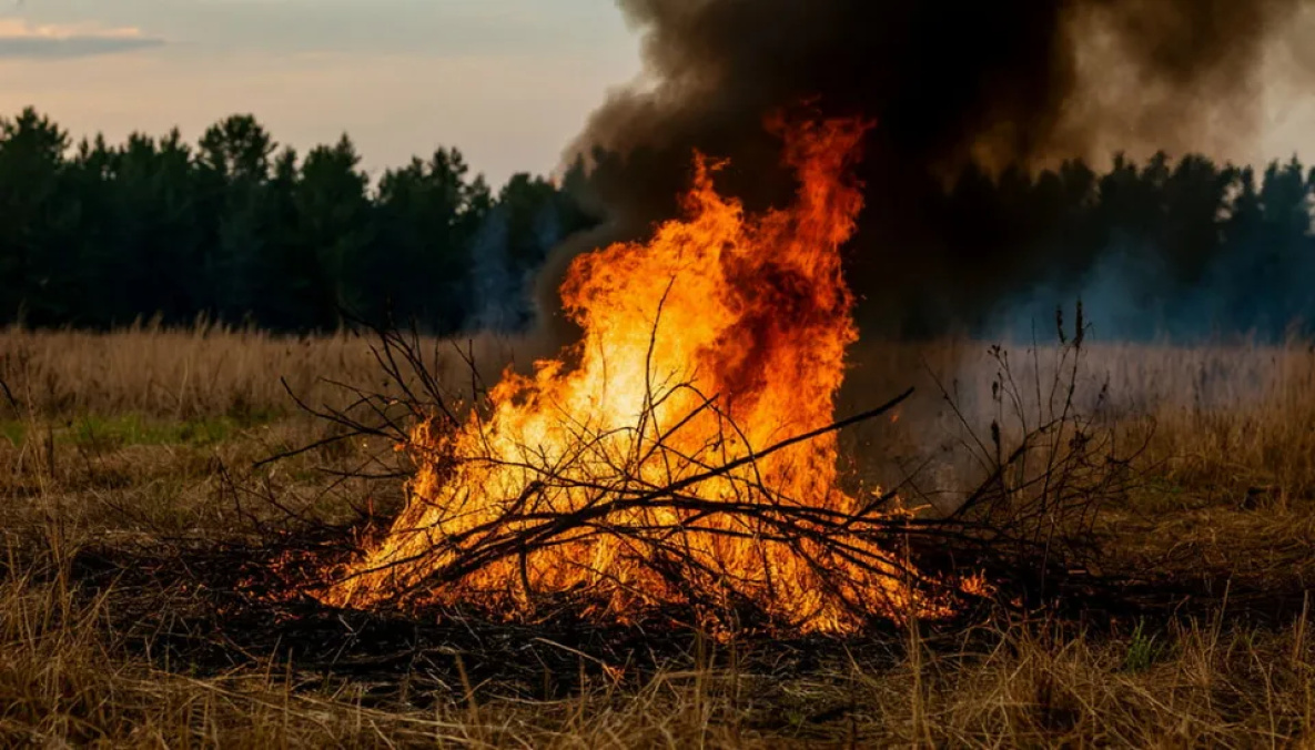 В Хабаровском крае родители заплатят за поджог ребёнком травы