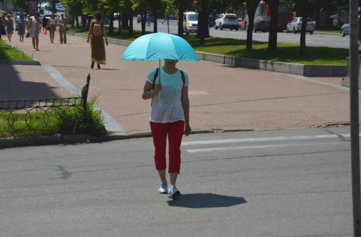 В Хабаровске МЧС и синоптики предупредили о возможной жаре в +37